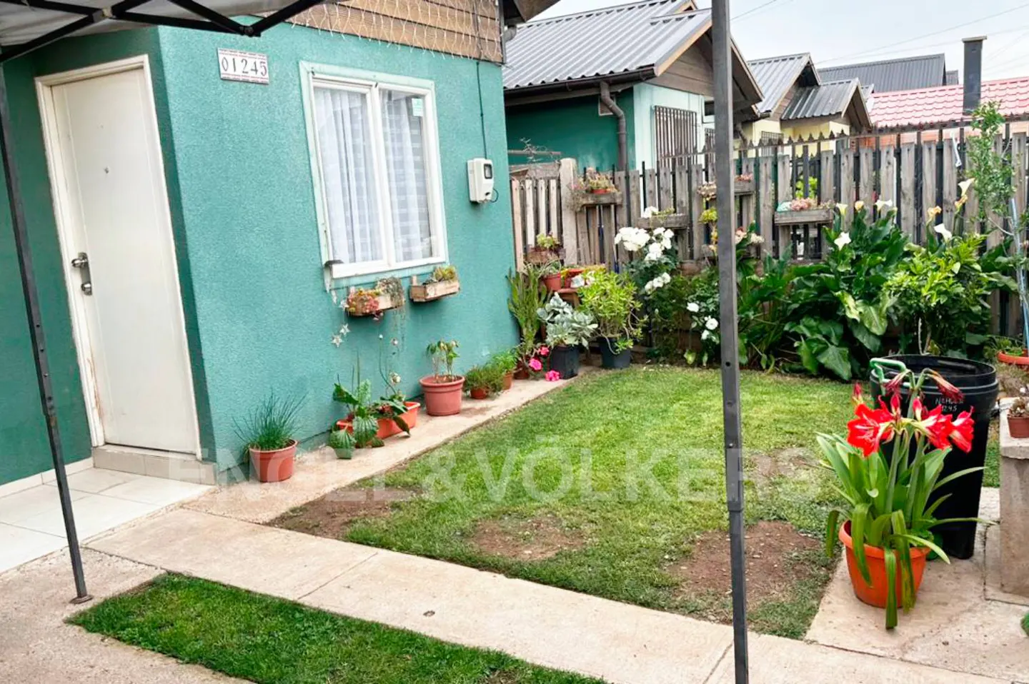 A teal house with a white door and window, surrounded by a green lawn and various potted plants. A wooden fence borders the property.