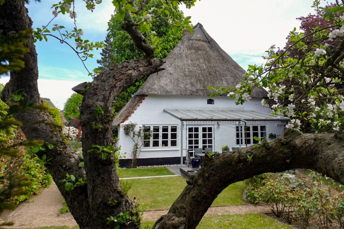 Schlei: Historie trifft Design | Kernsaniertes Reetdachhaus | Cottage | Gartenanlage | Doppelgarage
