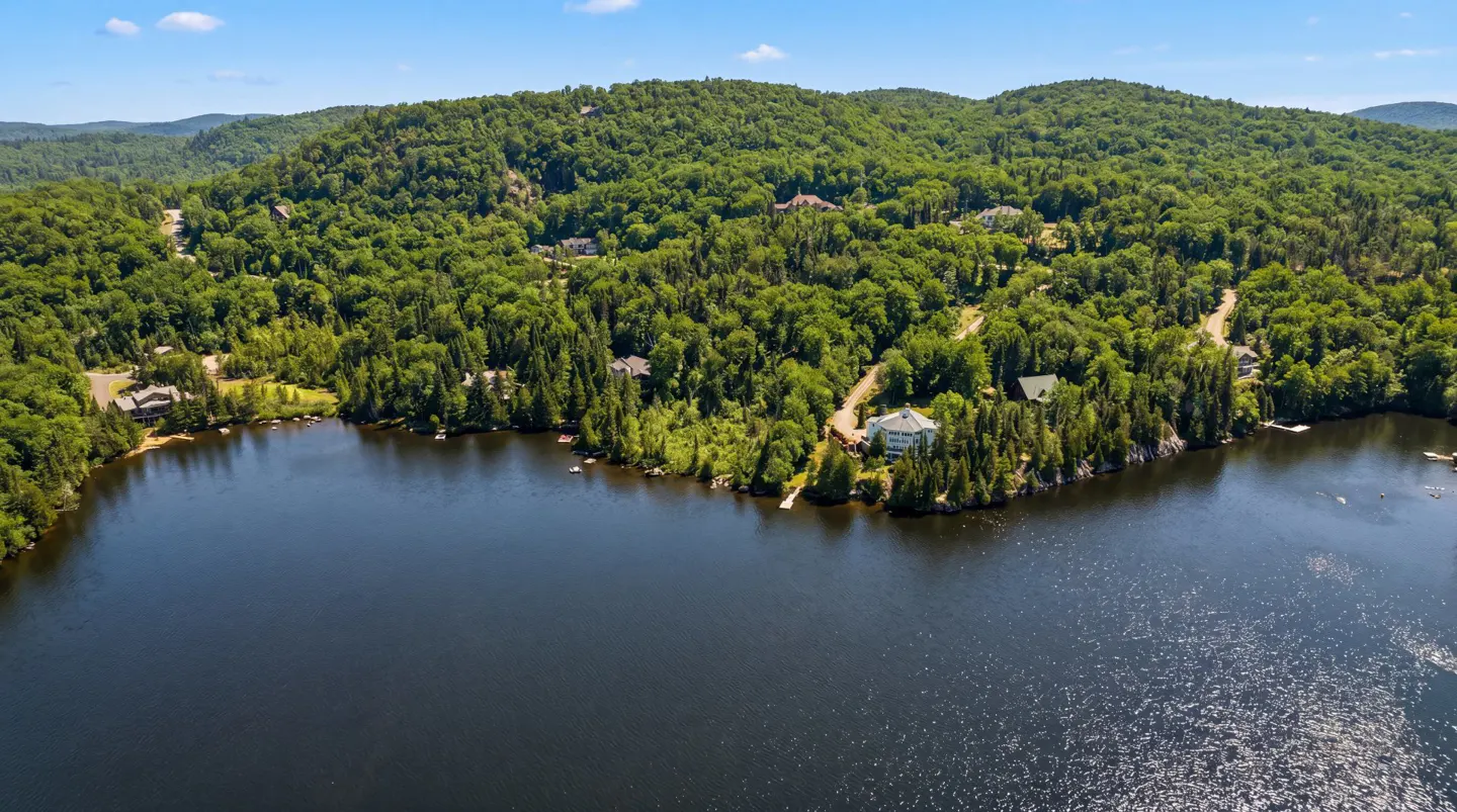 Aerial view of a dark blue lake surrounded by green trees and houses on a sunny day.