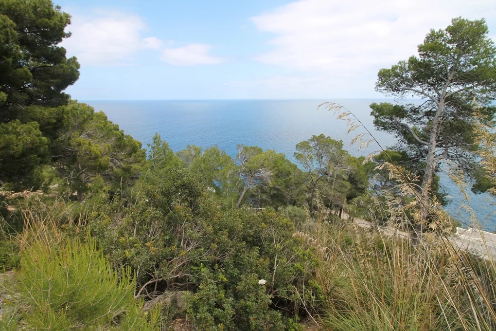 Double plot with a spectacular sea view in Canyamel
