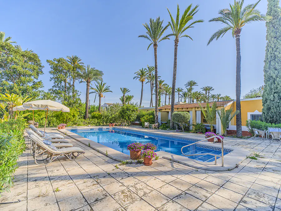 Outdoor pool with lounge chairs, potted flowers, and palm trees under a blue sky.