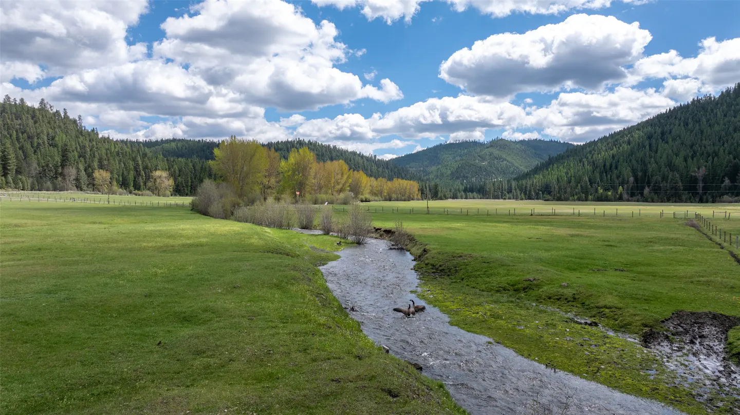 Scenic view of a green meadow with a stream, trees, and mountains under a cloudy blue sky.