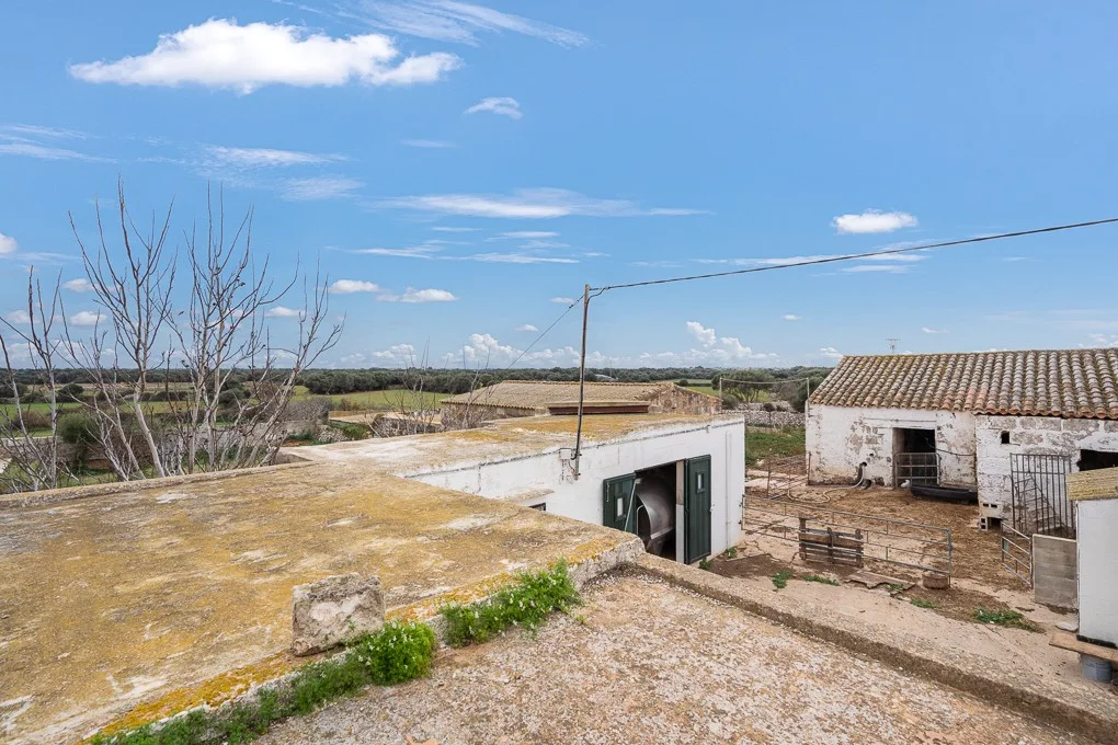 Ländliches Projekt im Süden von Ciutadella, Menorca