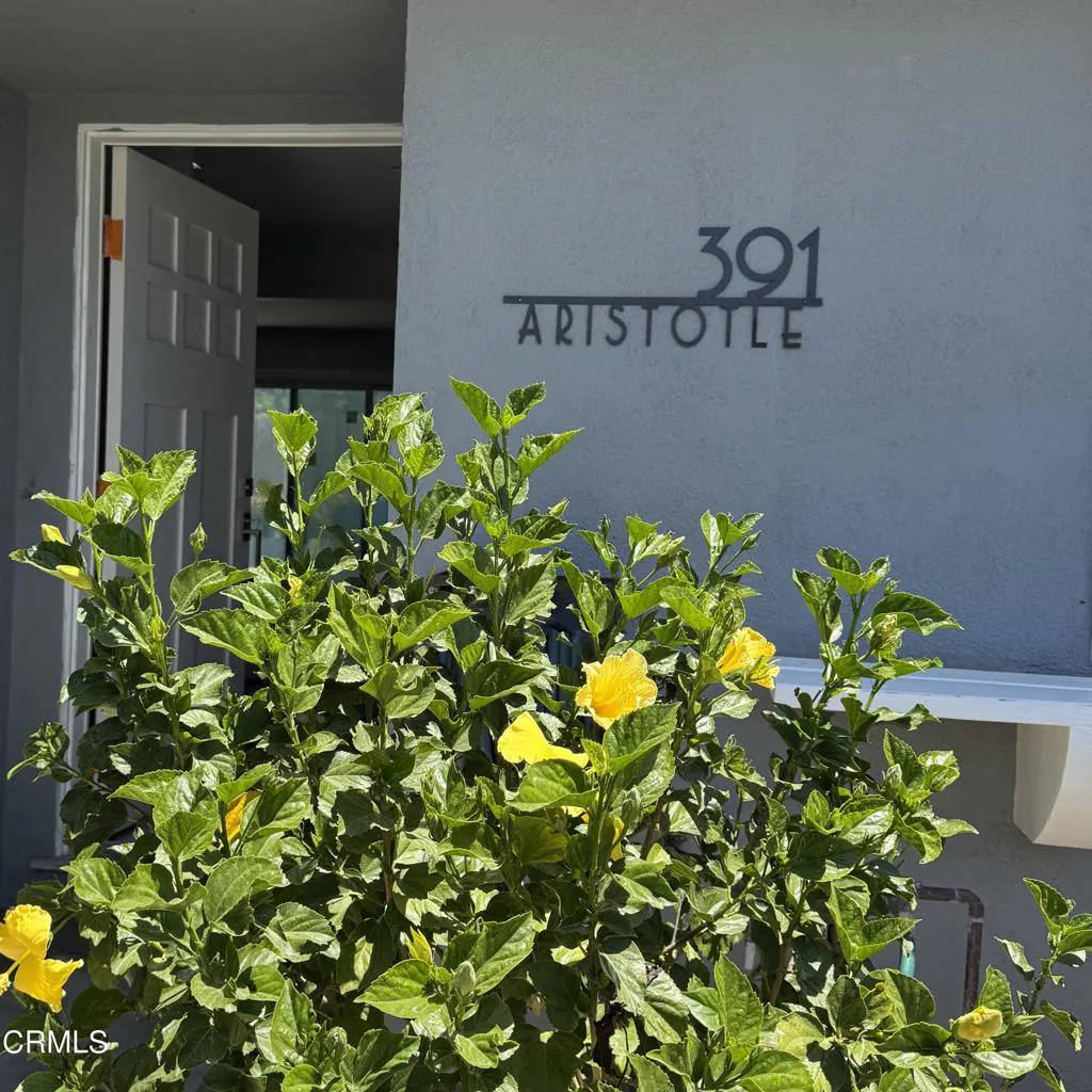 Exterior view of a gray house with "391 Aristotle" address sign above a green bush with yellow flowers. Open white door is visible.