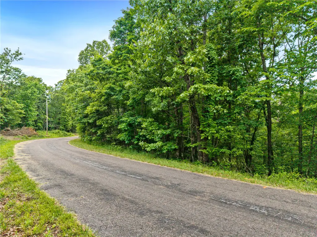 Winding asphalt road surrounded by lush green trees under a blue sky.