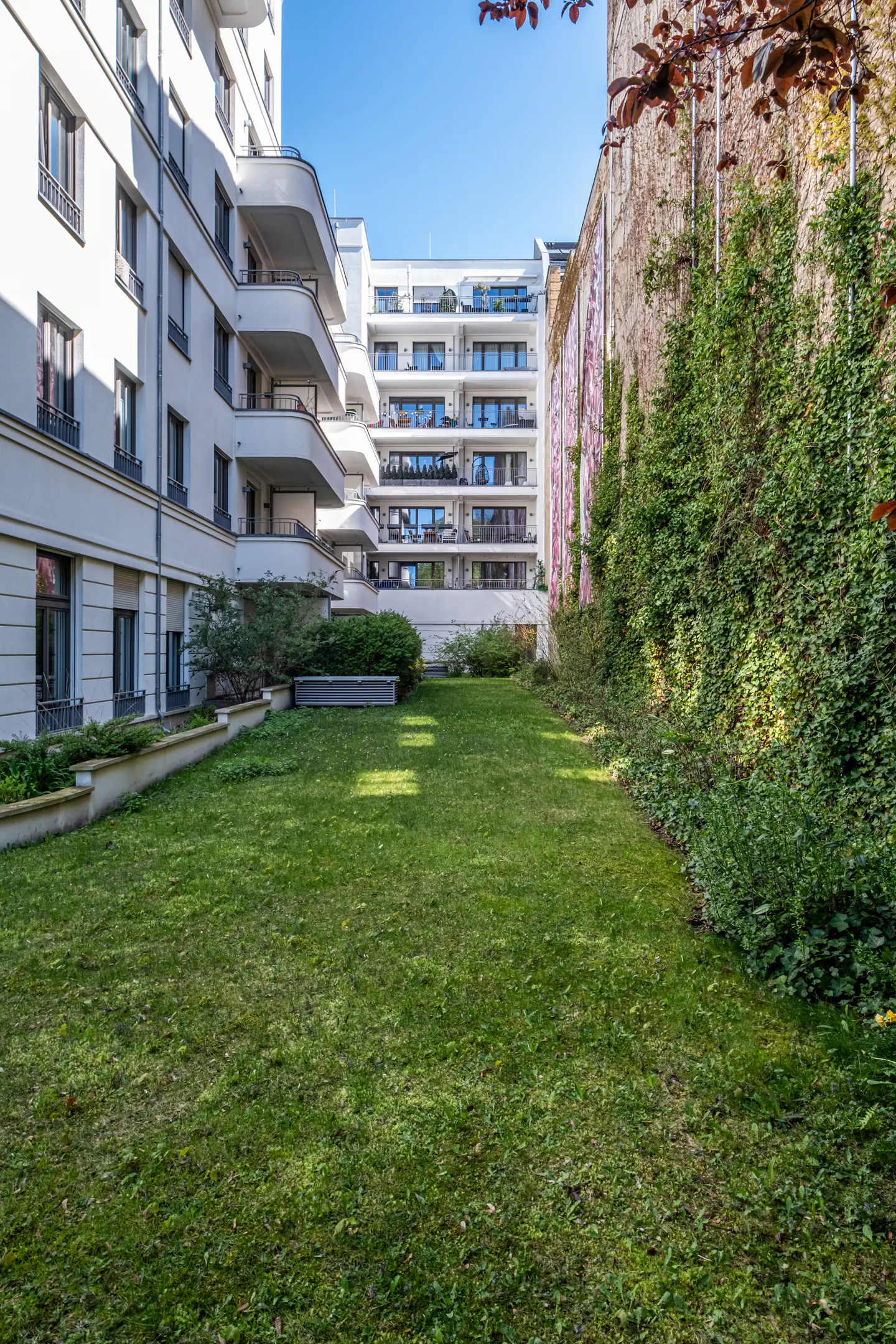 A green lawn surrounded by modern white buildings and a brick wall covered in ivy.