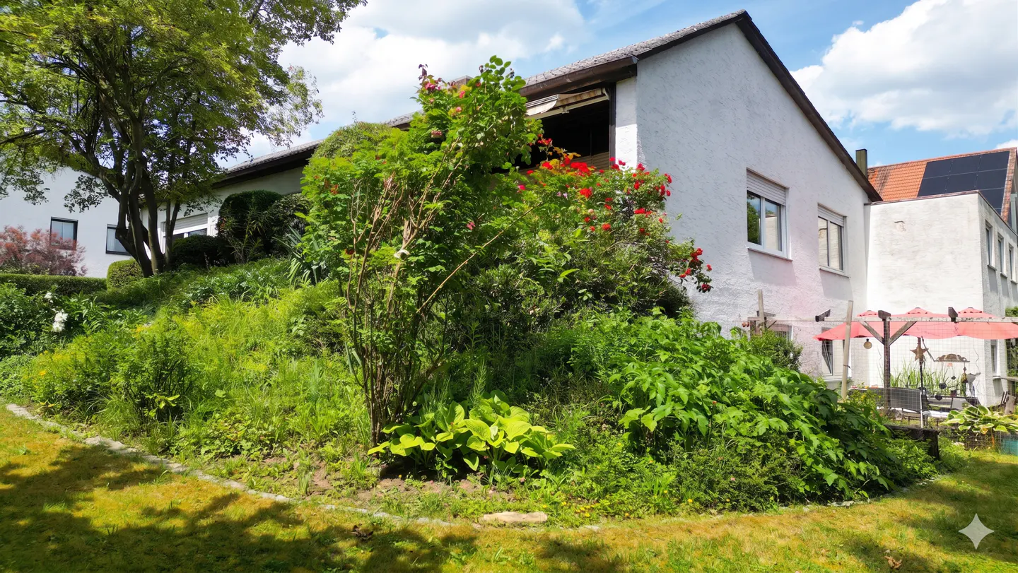 White house with a lush, overgrown garden, red rose bushes, and a red patio umbrella under a bright blue sky.