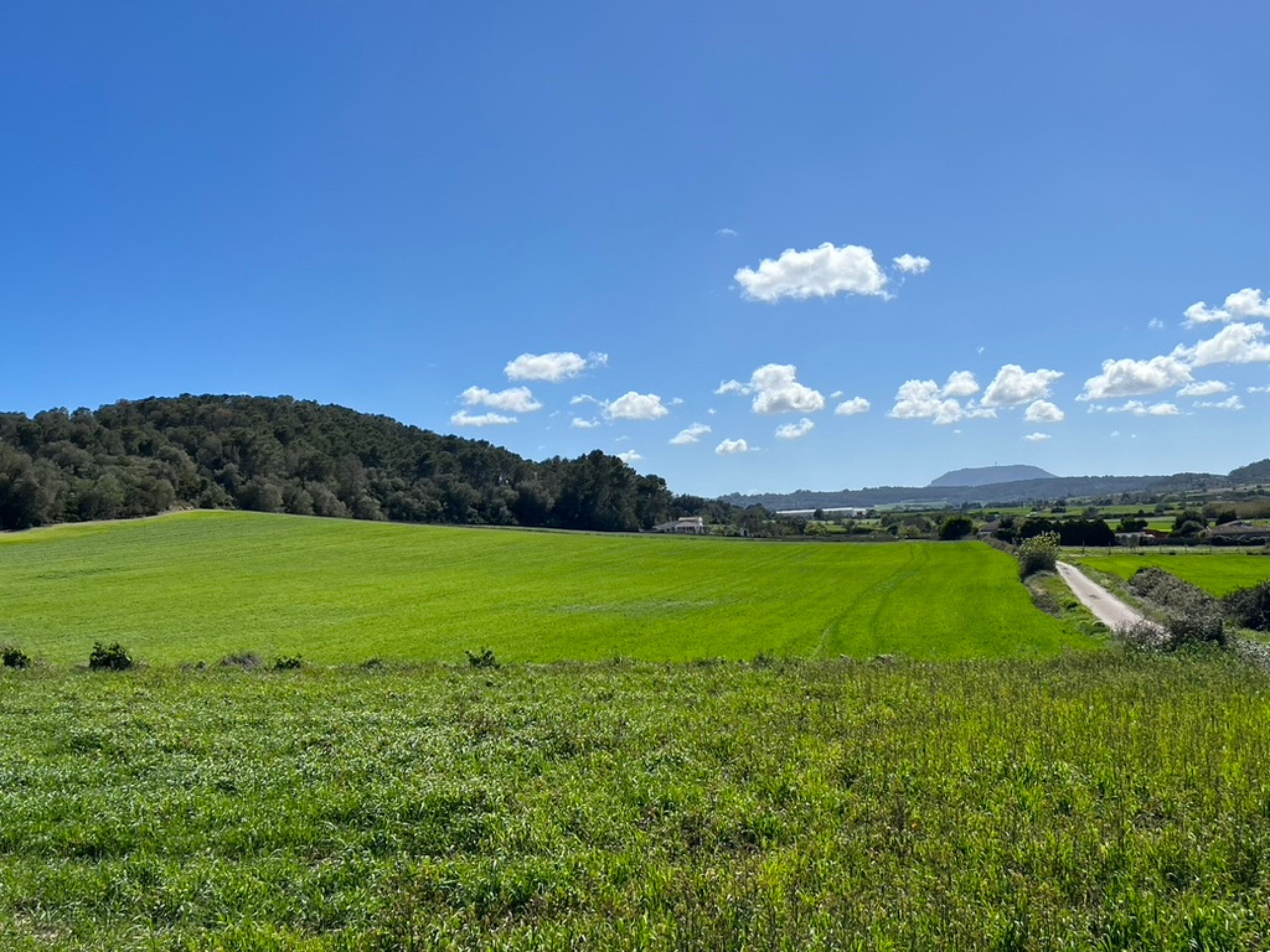 Three building plots for private fincas in a peaceful rural setting