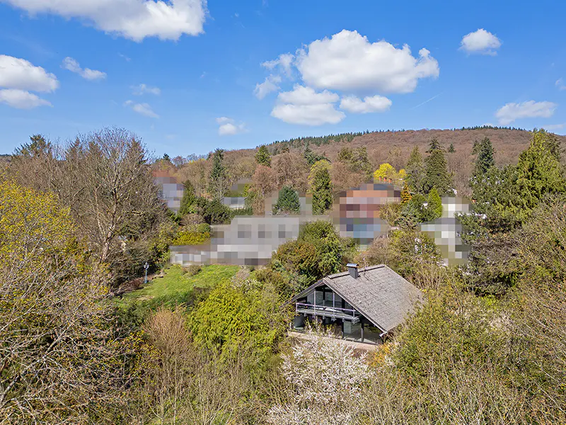 A house with a gray roof and black trim is surrounded by trees under a blue sky.