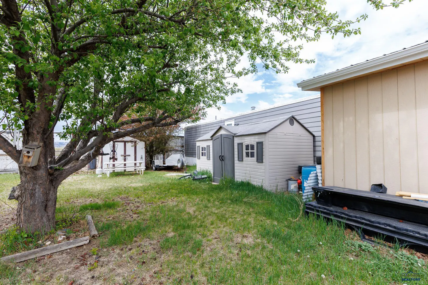 A backyard view featuring a large tree, a grey plastic storage shed, and a white shed with a picnic table in the distance.