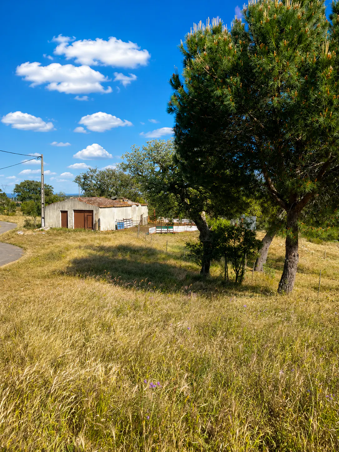 A low, weathered building sits in a dry, grassy field under a bright blue sky with scattered white clouds and pine trees.