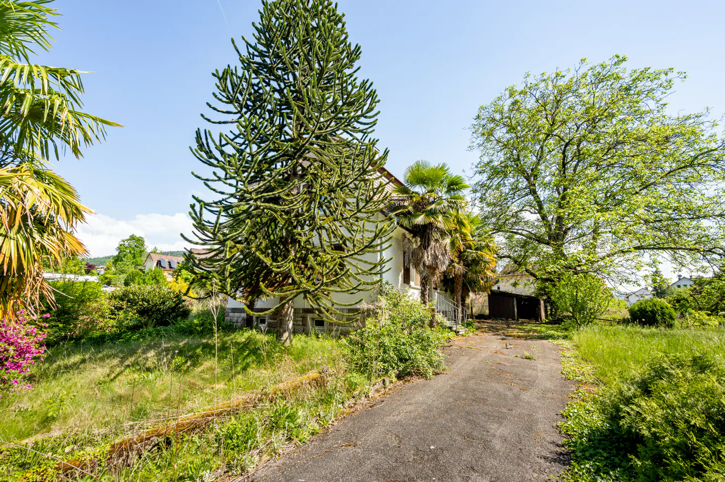 Exterior view of a white house with a long driveway, surrounded by green trees and grass under a blue sky.