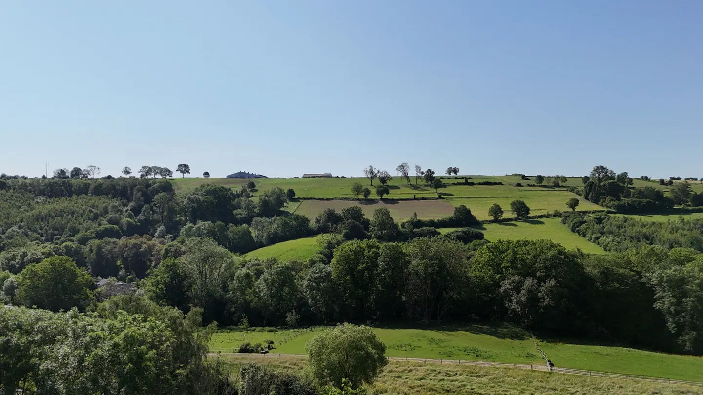 A wide, elevated view of a lush green landscape with rolling hills, dense forests, and a clear blue sky.