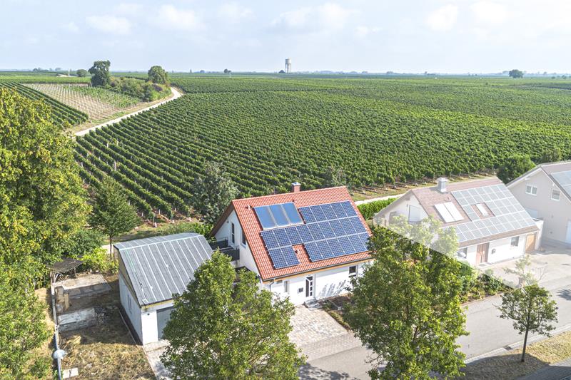 Aerial view of a white house with solar panels on a red roof, situated next to a large, lush green vineyard. [AI-generated text]