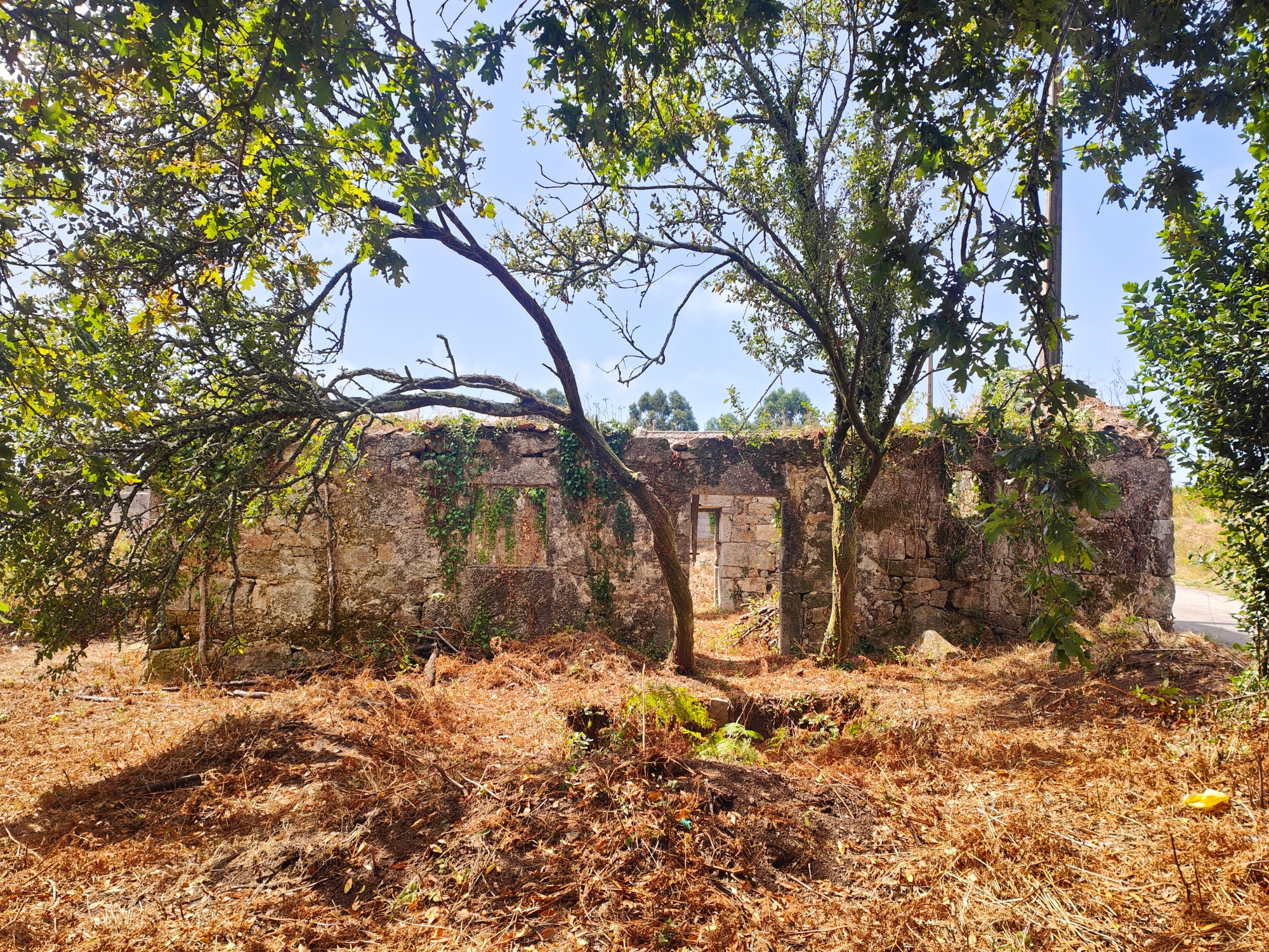 Parcela para vivienda unifamiliar en la zona de Dena