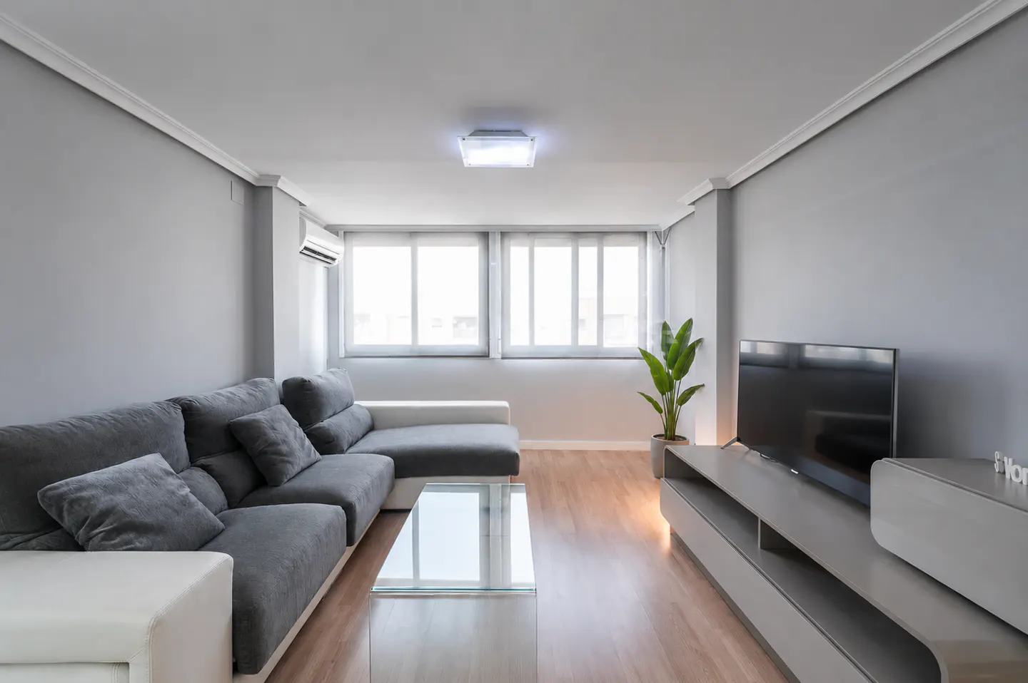 Living room with gray walls, wood floors, and a gray sectional sofa. A glass coffee table sits in front of the sofa. A TV and plant are on a gray console.