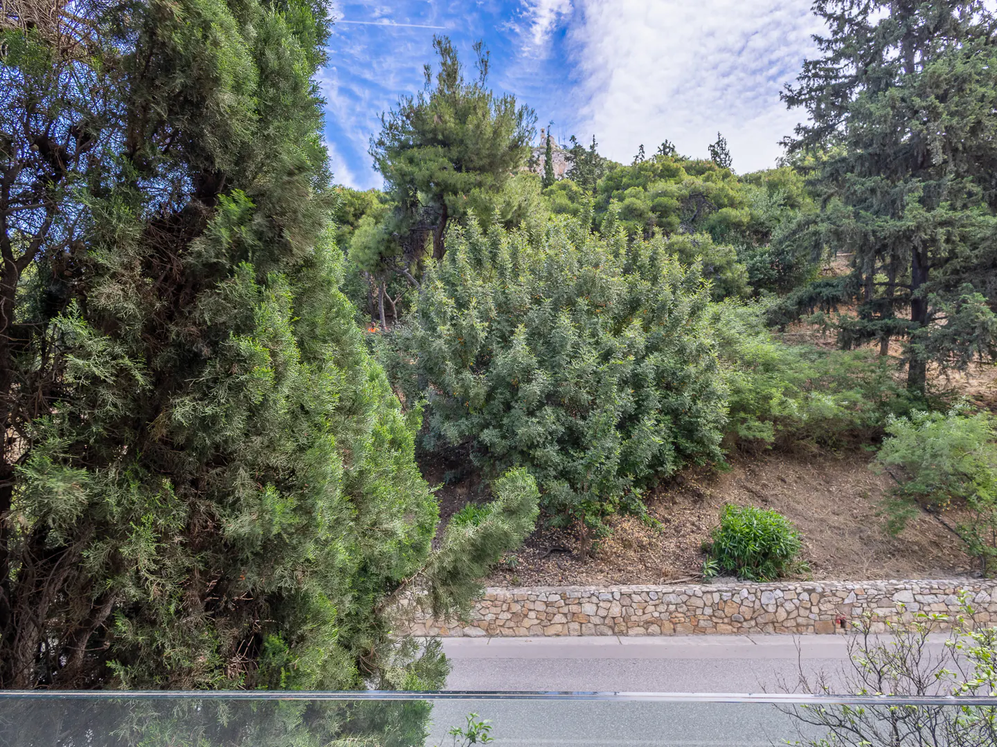 A view of a lush, green hillside with dense trees above a stone retaining wall and a paved road under a blue sky.