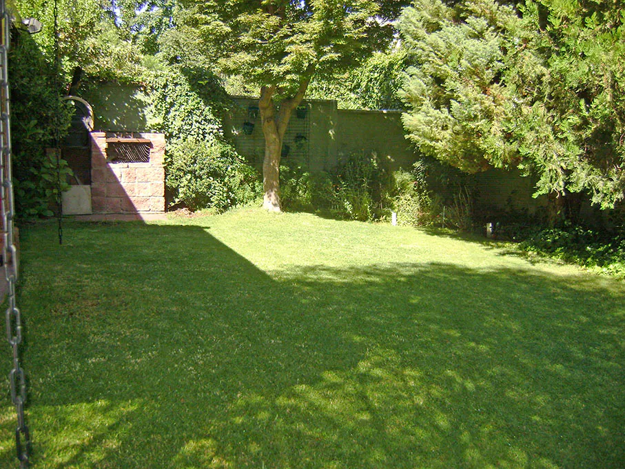 A green lawn with a brick grill and a tree in the background.