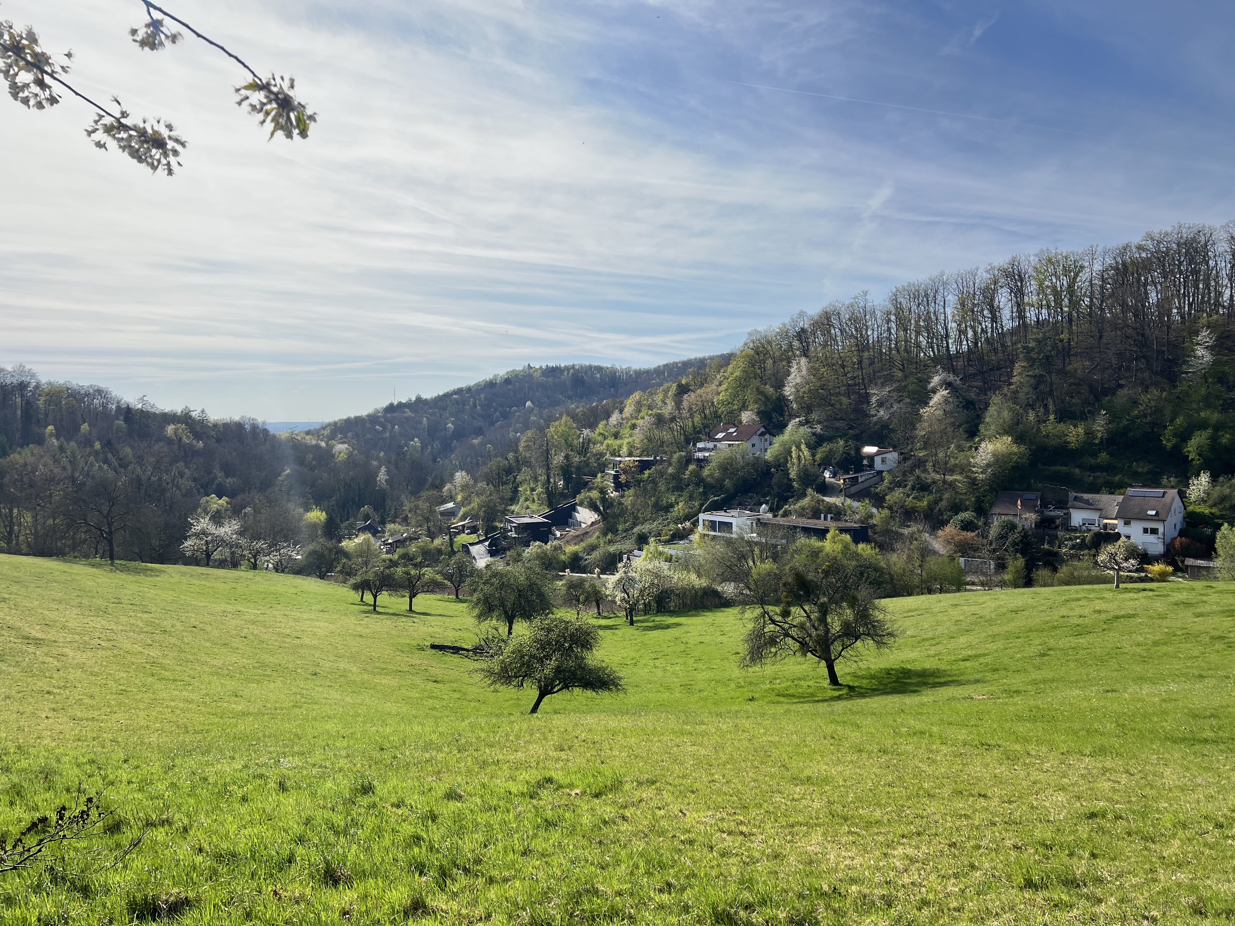 Südhanggrundstück in ruhiger Lage mit unverbautem Ausblick