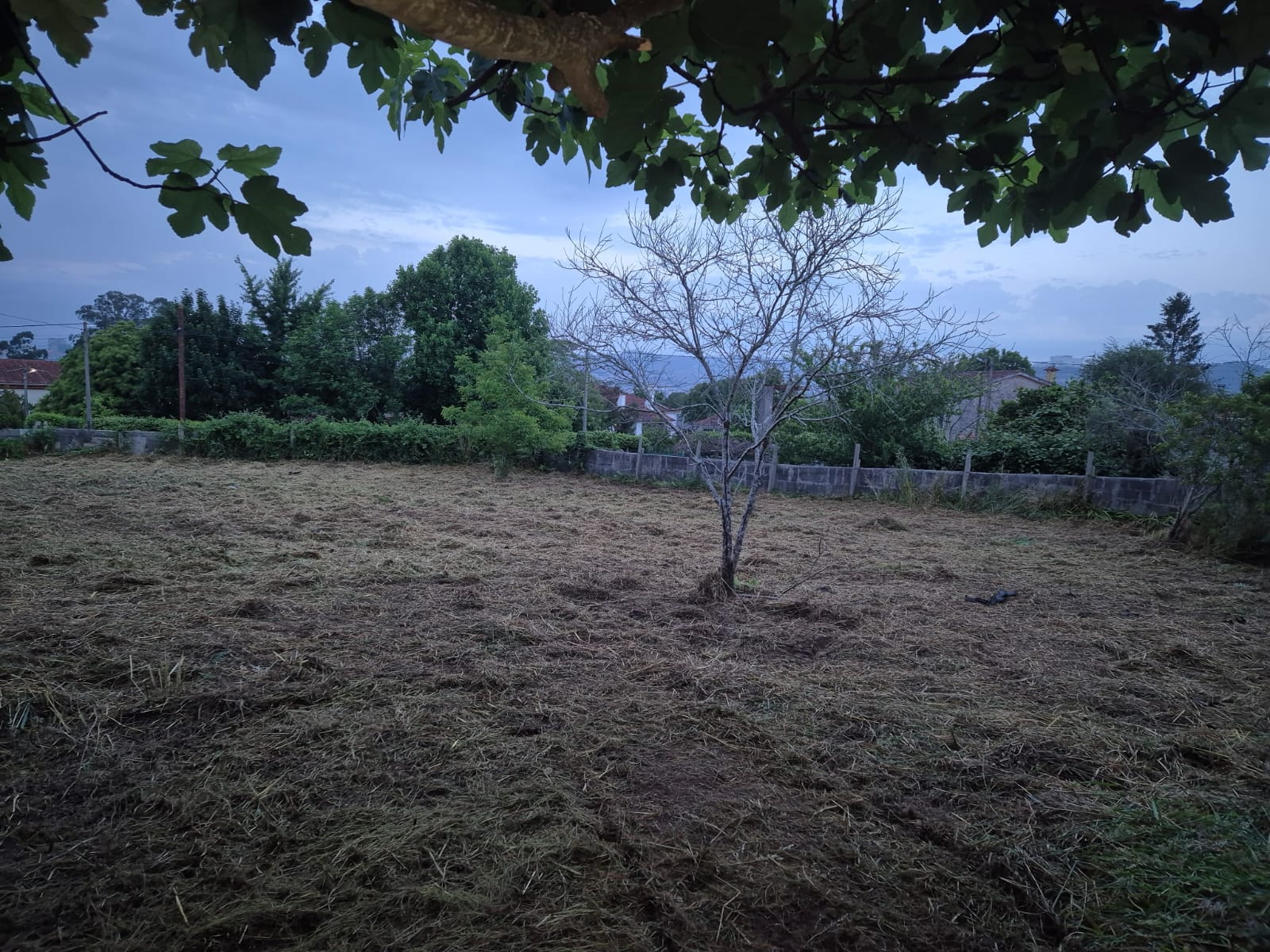 Suelo urbano consolidado en Beade, Vigo  1.990 m² con potencial para 3 viviendas unifamiliares