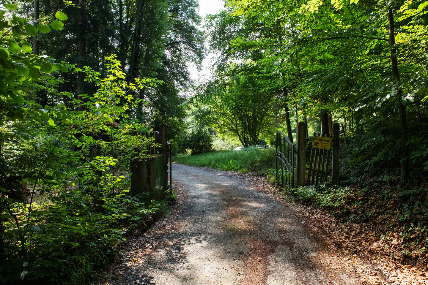 Gravel path leads through open iron gates into a lush green forest. A yellow sign is posted on the right gate.