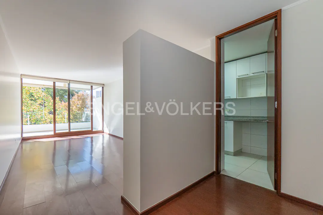 Bright, modern apartment interior with hardwood floors, a large window overlooking trees, and a glimpse of a white kitchen through a doorway.