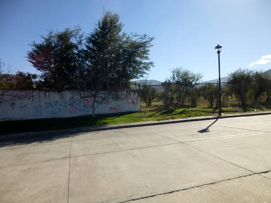 Street view with a light pole, trees, and a graffiti-covered wall under a blue sky.