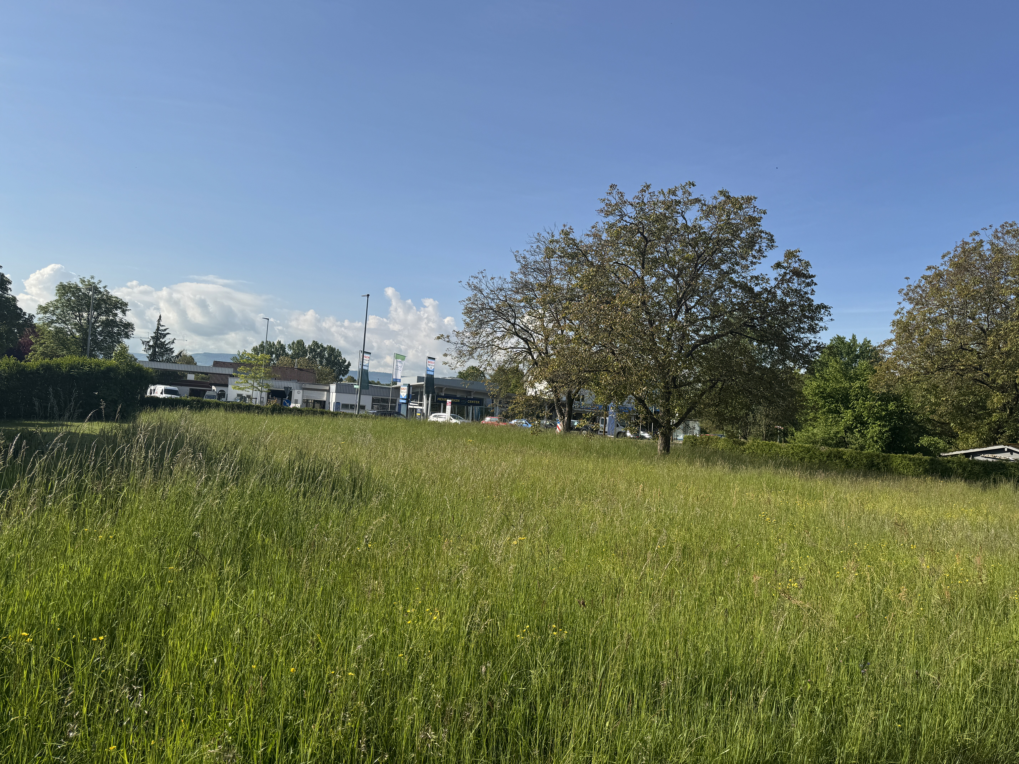 Großzügiges Wohnbaugrundstück mit möglicher Teilungsoption in Rechberghausen