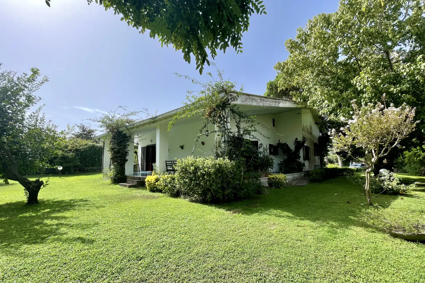 Exterior view of a white, one-story house with a green lawn and trees under a blue sky.