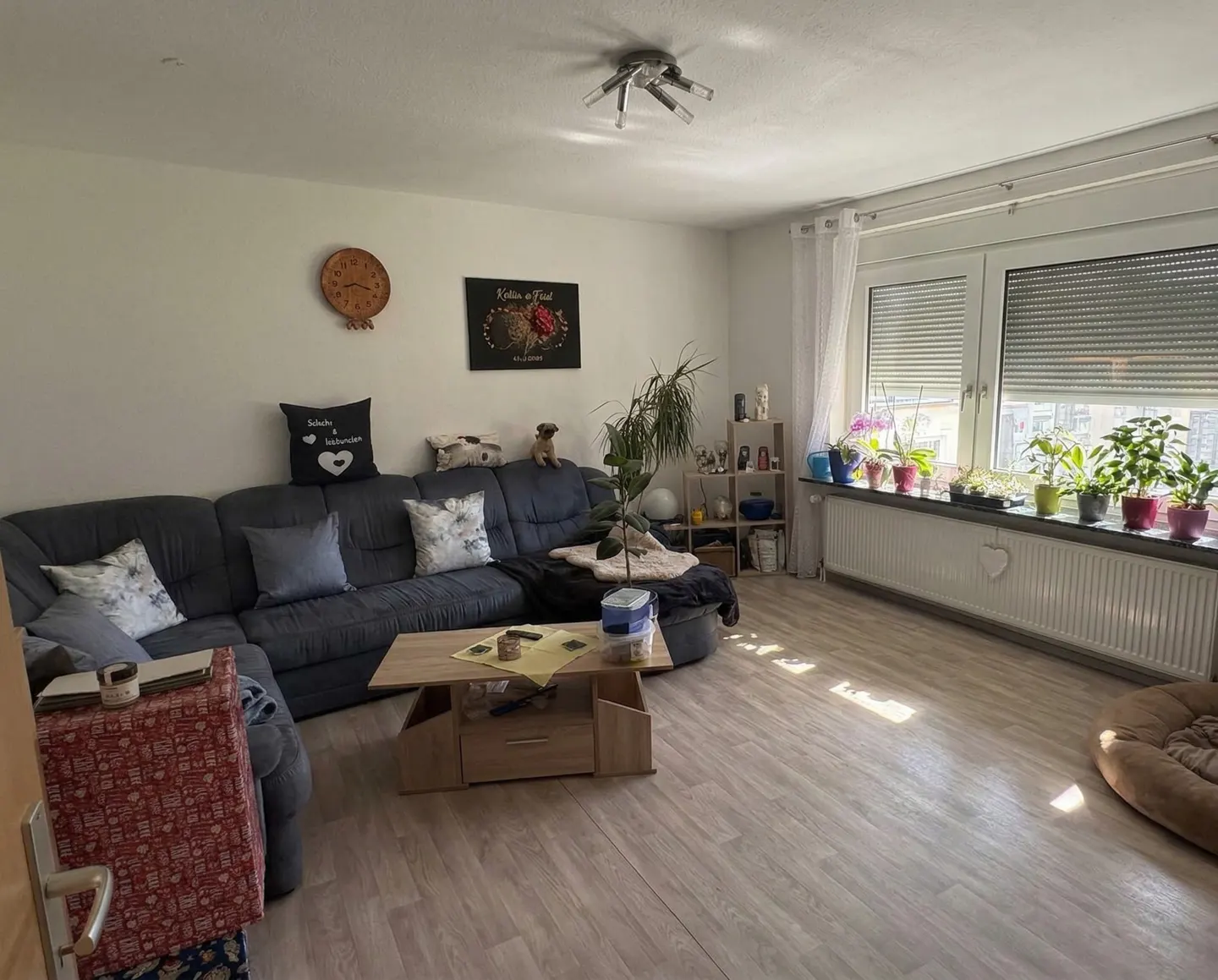A bright living room with a gray sectional sofa, a wooden coffee table, and potted plants on the windowsill.