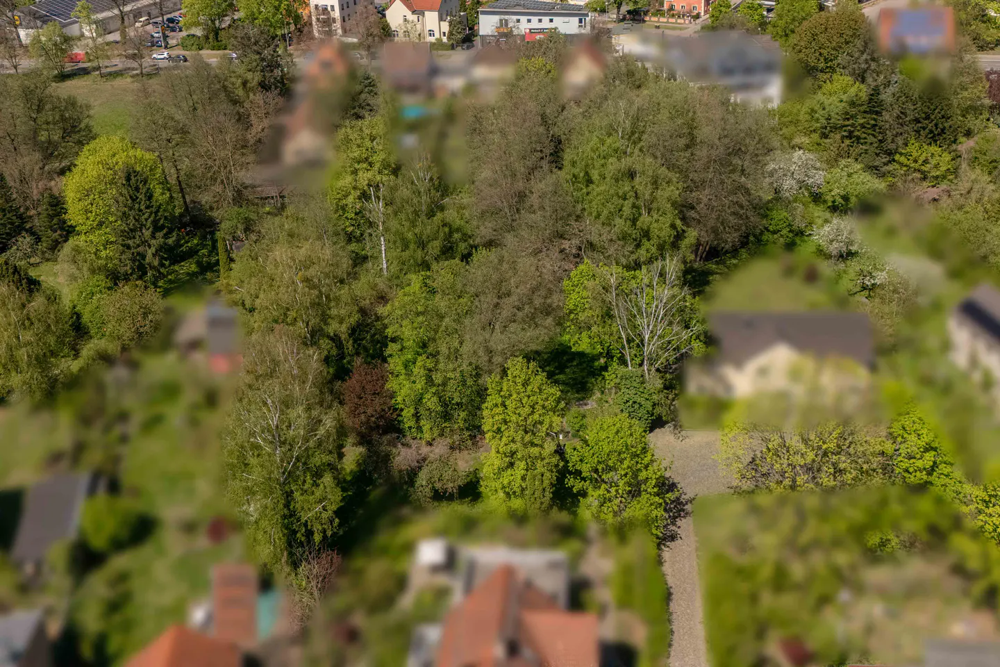 Aerial view of a wooded lot with green trees and grass, surrounded by houses with red roofs.
