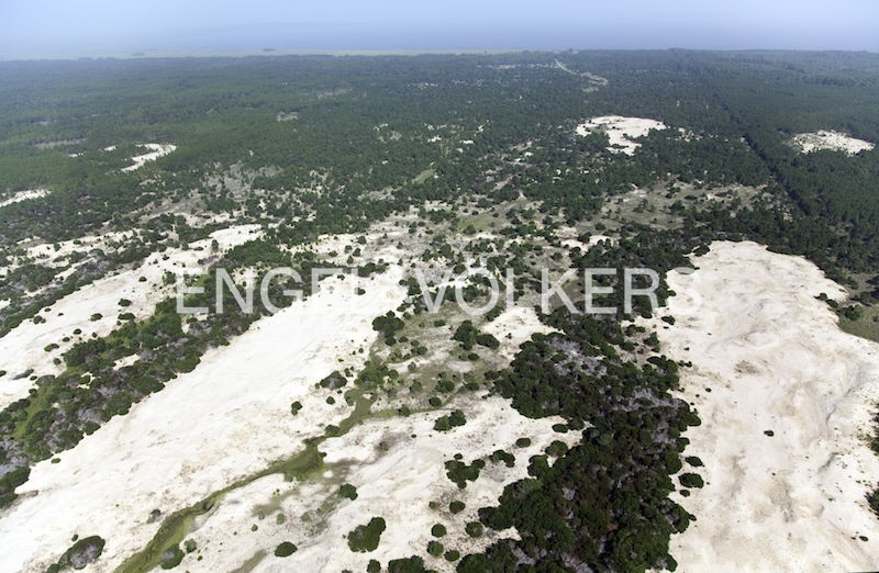 Ideal land for exclusive development on the Rocha coast