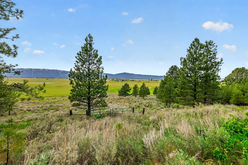 Scenic view of a green meadow with scattered trees, a gate, and mountains in the distance under a blue sky.