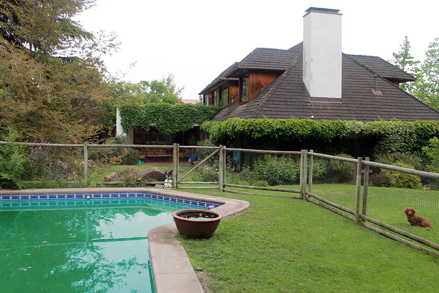 Backyard view of a house with a pool, lawn, and wooden fence. A brown dog sits on the grass.
