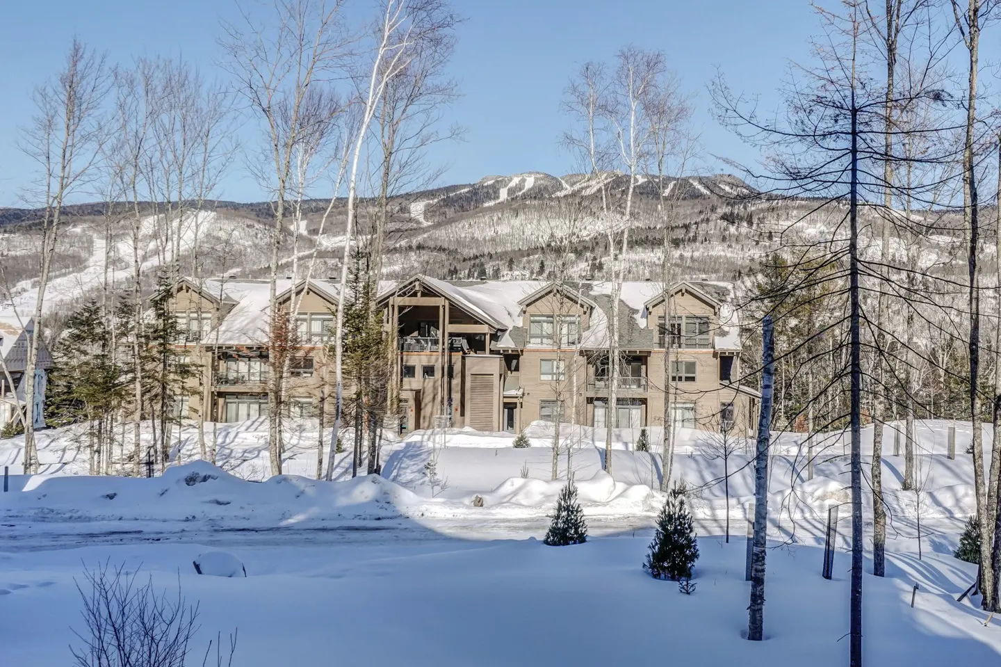 A three-story condo building in winter, surrounded by snow-covered ground and bare trees, with a mountain in the background.