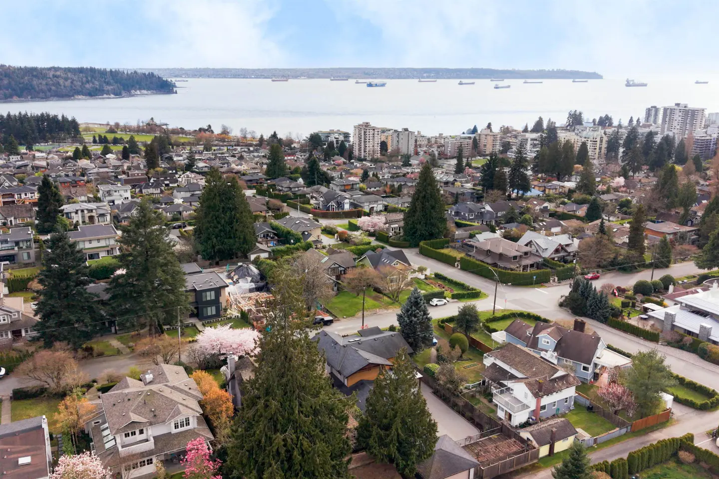 Aerial view of a residential neighborhood with houses, trees, and a body of water with ships in the background.