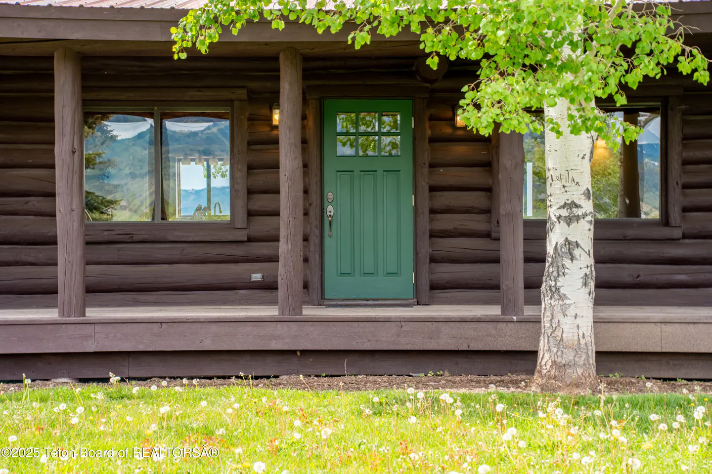 Log cabin exterior with a green front door, porch, and windows reflecting a mountain view. A birch tree stands to the right.