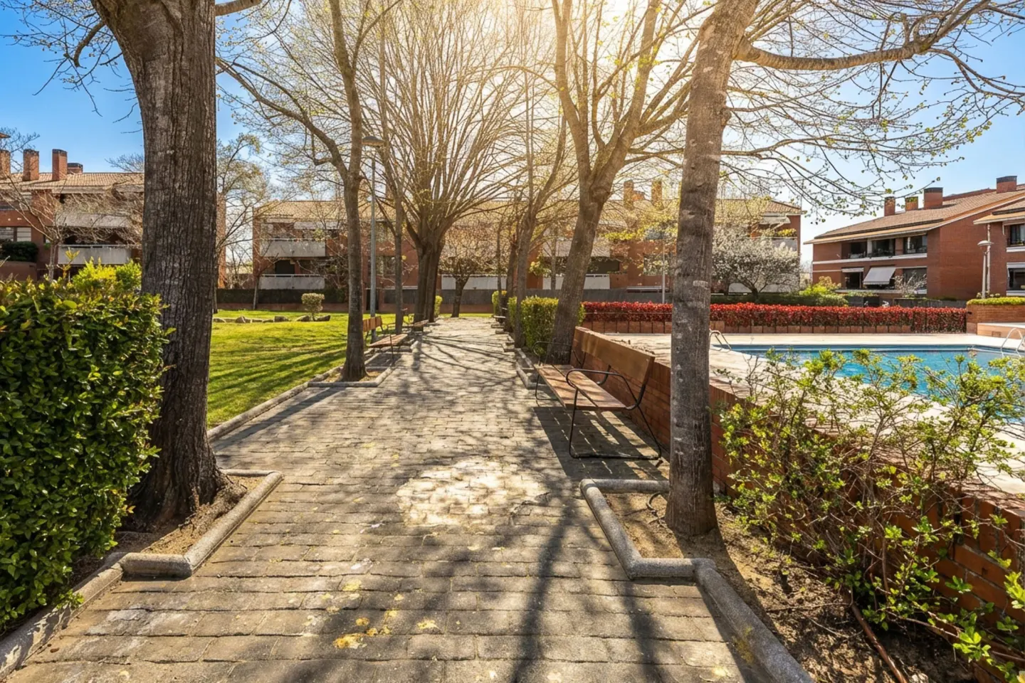 Brick walkway lined with trees, benches, and green spaces leads to a pool and red brick buildings under a sunny sky.