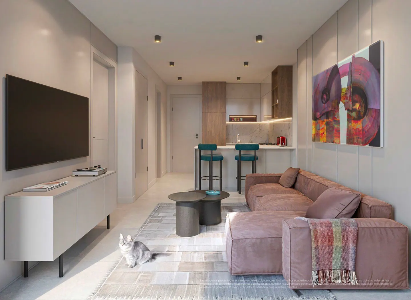 Living room with a brown sofa, gray cat, TV, and kitchen in the background.