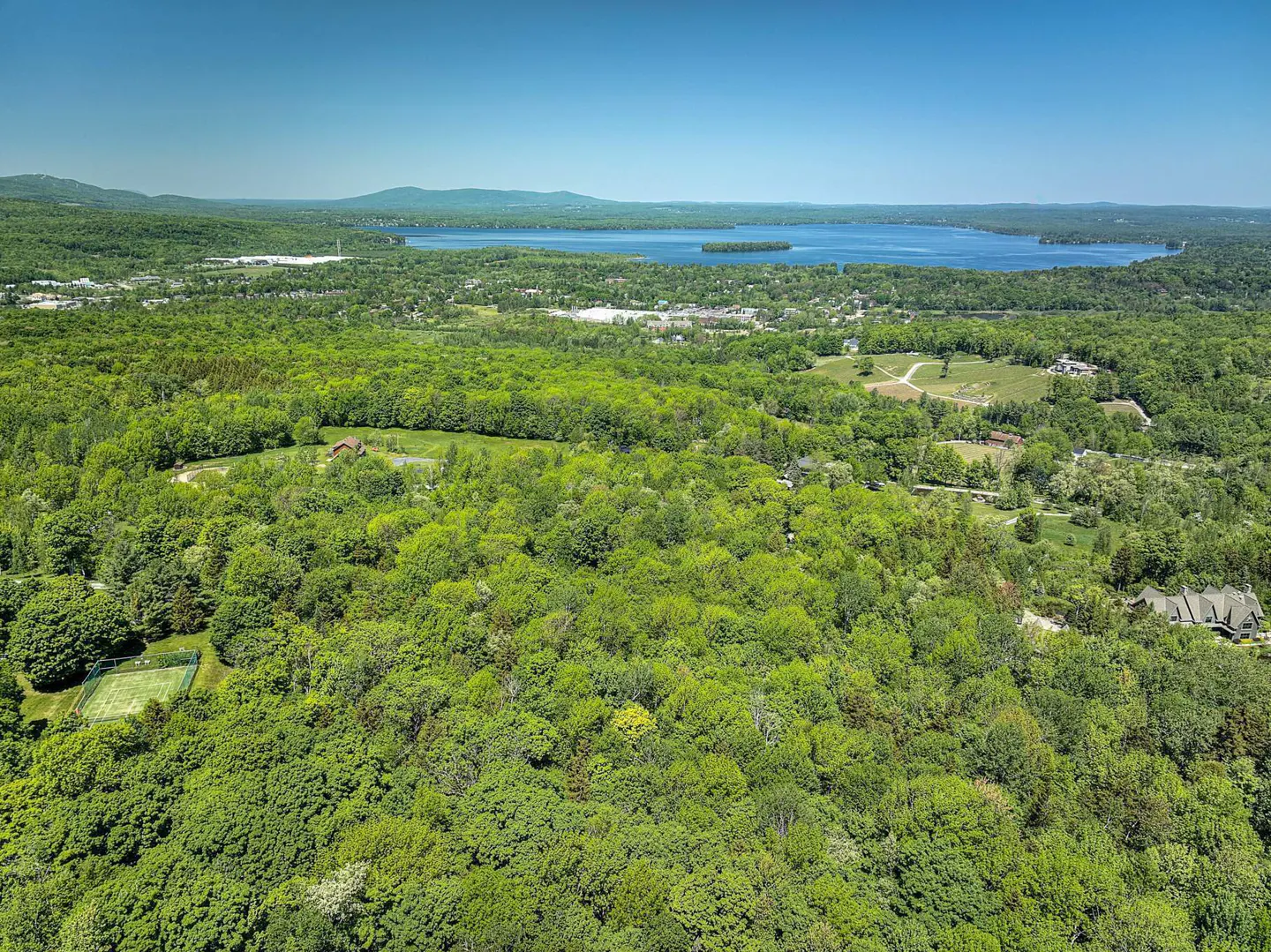 Aerial view of a lush green forest with a lake and mountains in the background under a clear blue sky.