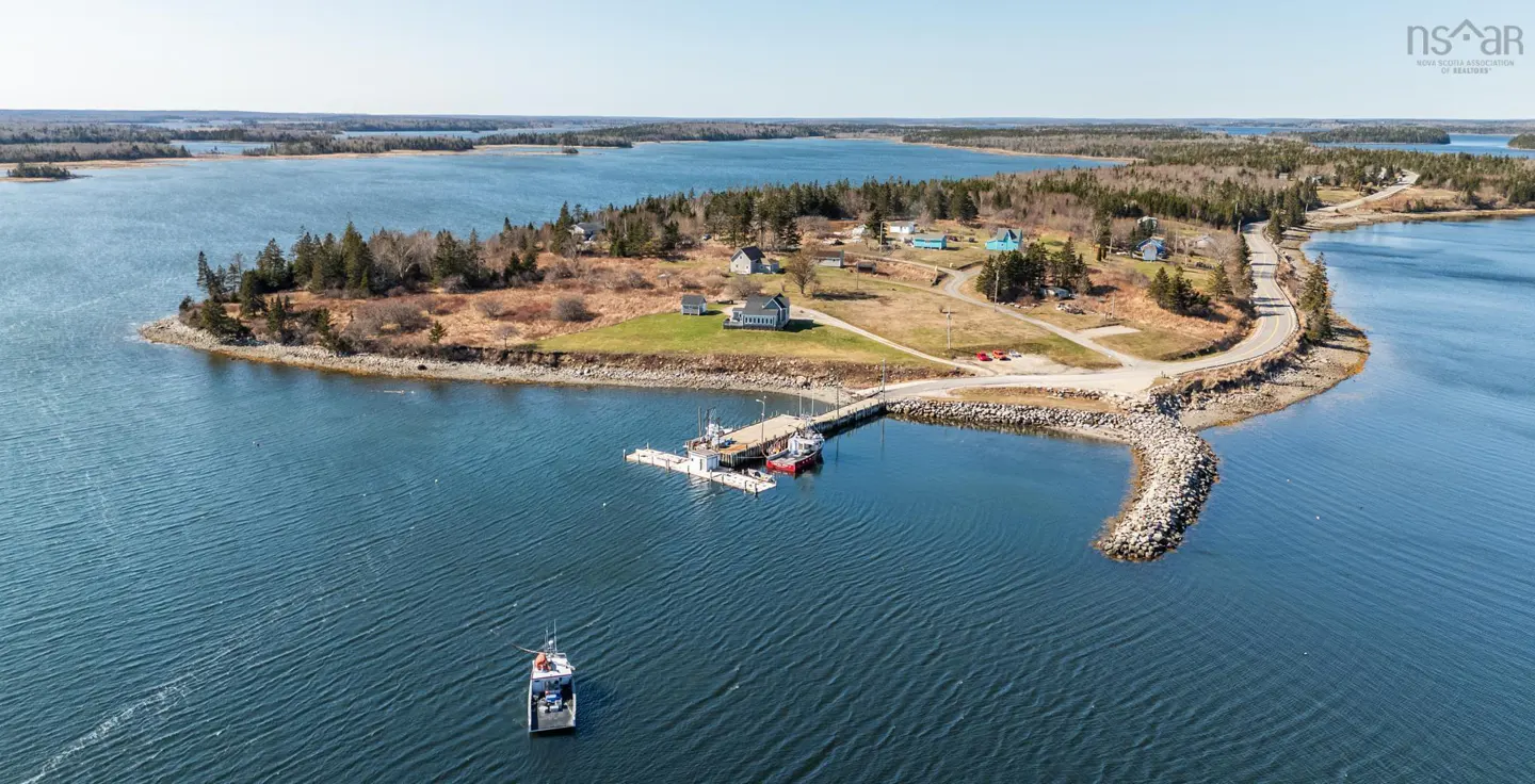Aerial view of a peninsula with houses, trees, a dock with boats, and a boat in the water on a sunny day.