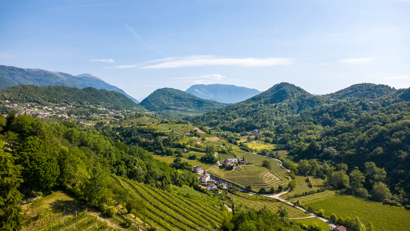 Aerial view of a green valley with vineyards, houses, and mountains under a blue sky.