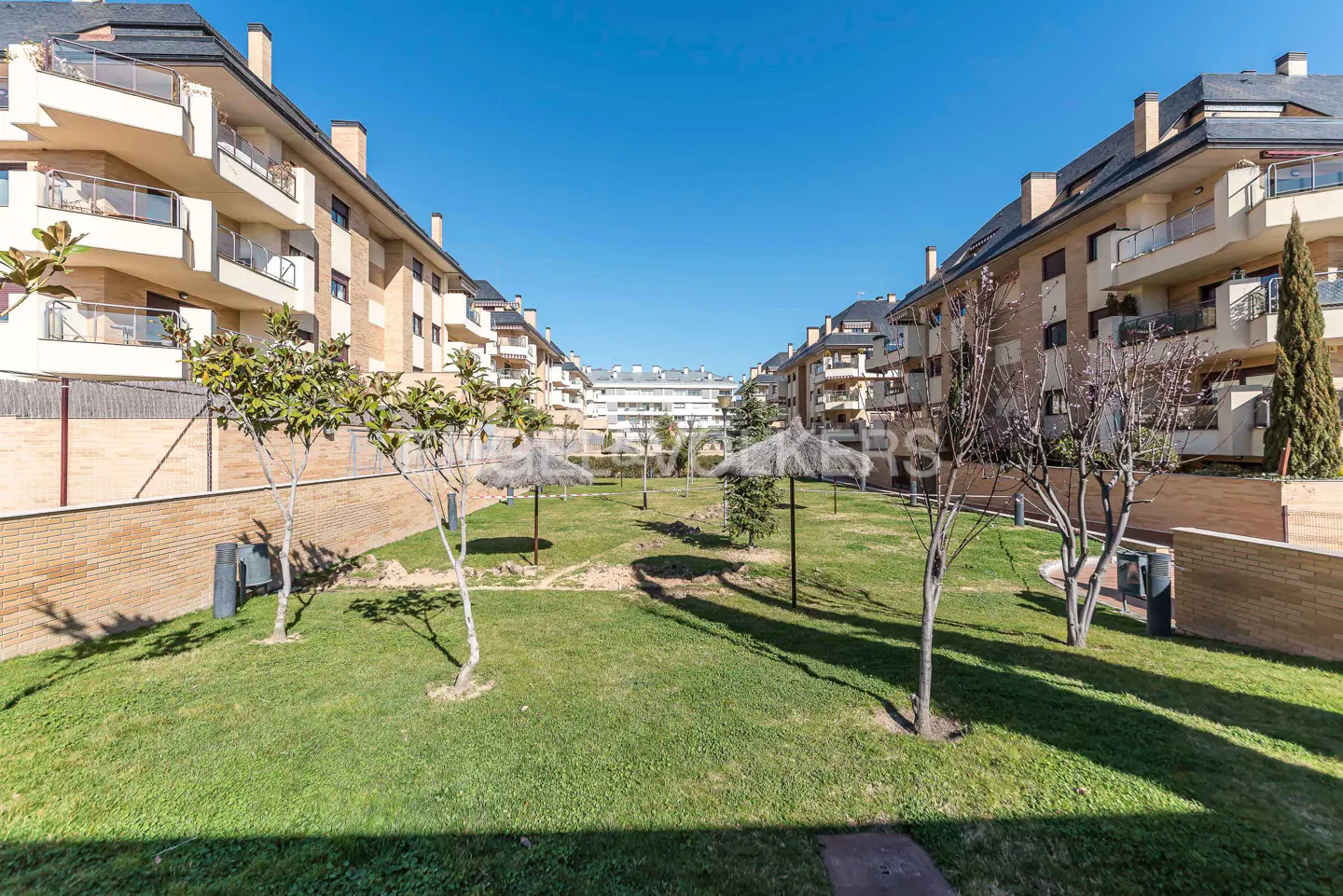 Exterior view of apartment buildings with balconies overlooking a green lawn with trees and straw umbrellas.