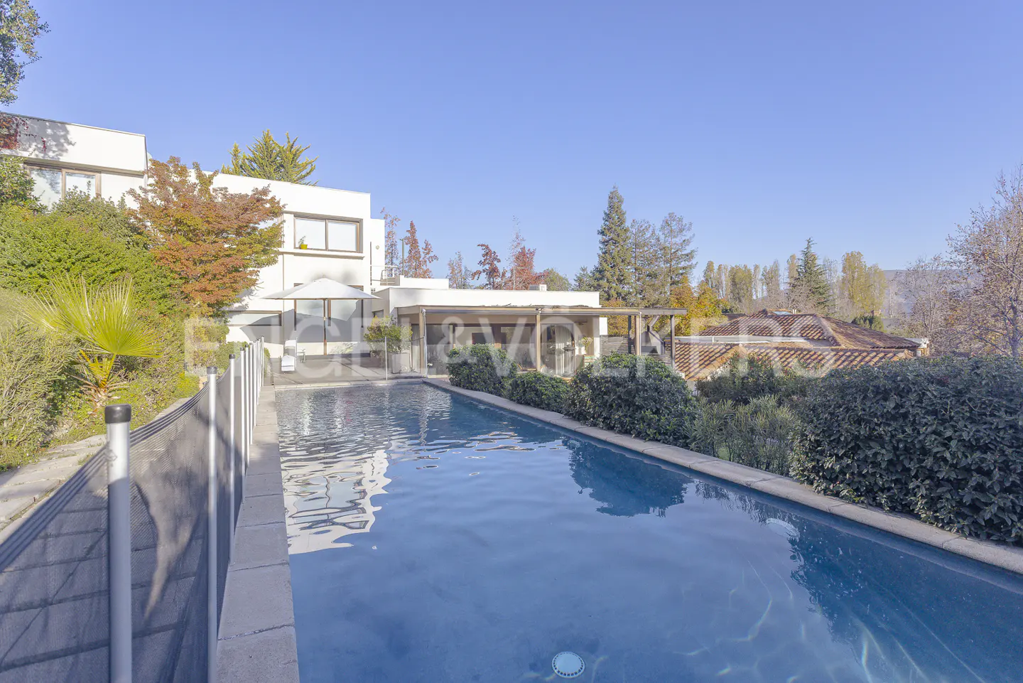 A long, blue swimming pool in a backyard with a modern white house and green trees under a clear blue sky.