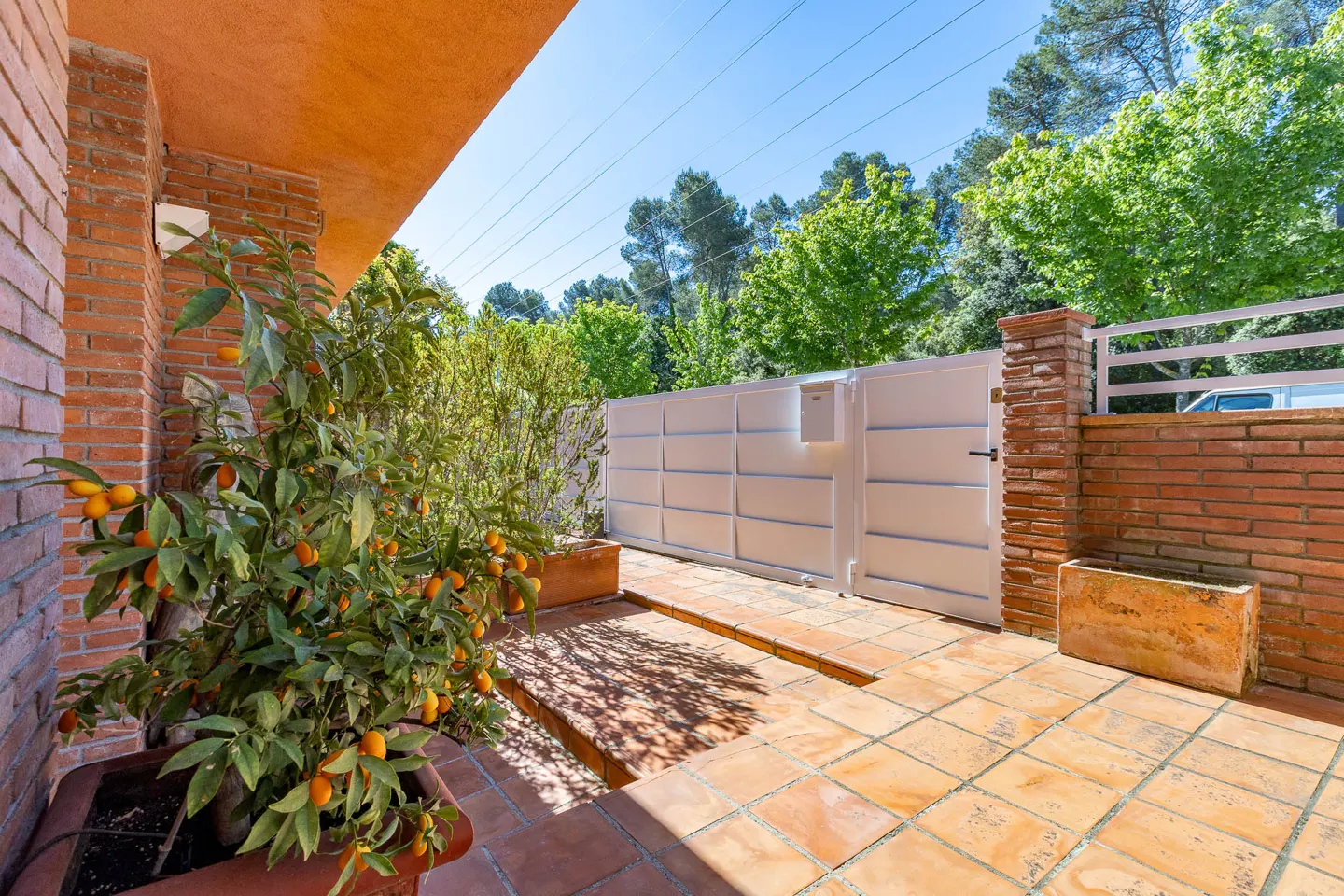 Exterior view of a brick house with a white gate, terracotta tile patio, and a kumquat tree in a pot.