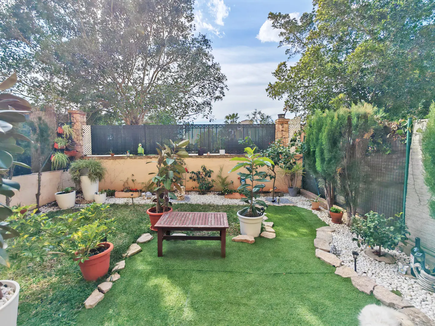 A backyard with green grass, a wooden table, potted plants, and a stone path under a blue sky.