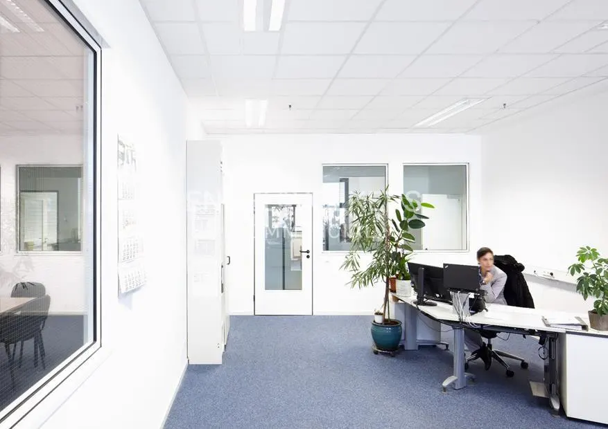 A person sits at a desk with two monitors in a bright, white office with blue carpet. Plants are on the desk and floor.