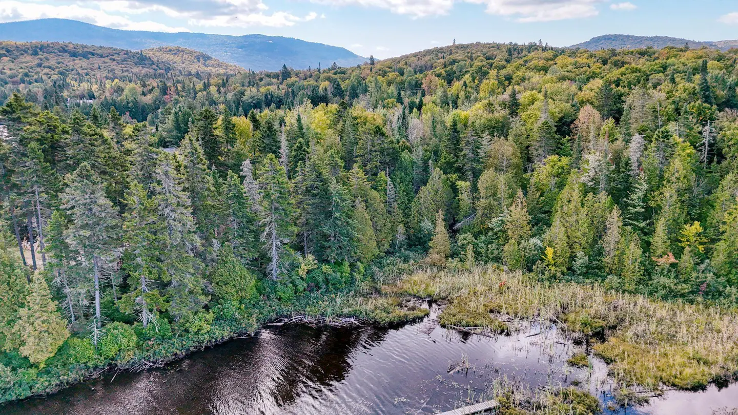 Aerial view of a lake surrounded by a dense green forest and mountains in the background under a blue sky.