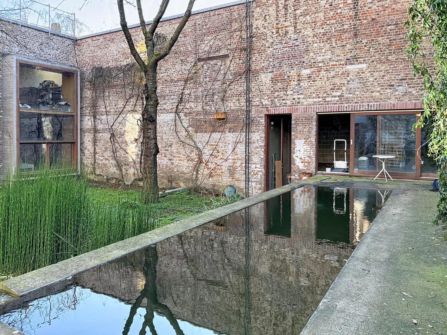 Outdoor view of a brick building with a reflecting pool in the foreground. A tree stands near a window, and vines climb the brick wall.