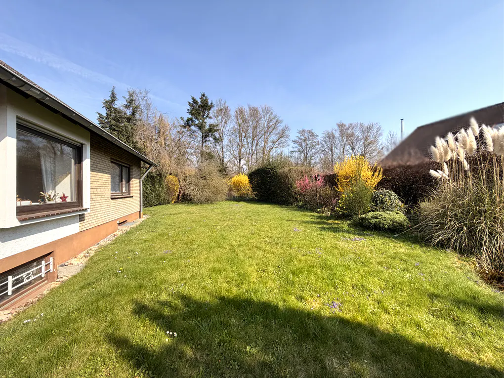 A sunny backyard with a green lawn, a brick house wall on the left, and flowering bushes and tall grasses in the back.